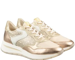 DL Sport 6559 sneakers