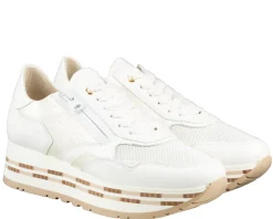 DL Sport 6544 sneakers