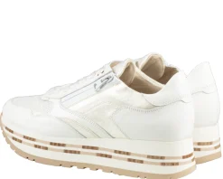 DL Sport 6544 sneakers