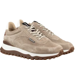 Floris van Bommel De Grommer 01.03