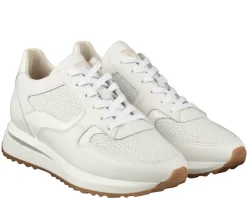 Floris van Bommel Sumi 03.17 Sneakers