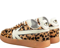 Kaotiko Boston sneakers