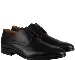 Van Bommel Raffa 03.01