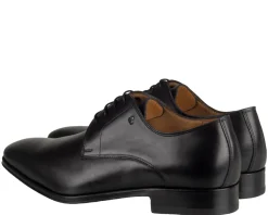 Van Bommel Raffa 03.01