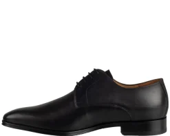 Van Bommel Raffa 03.01