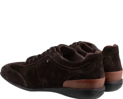 Van Bommel Senna 01.04